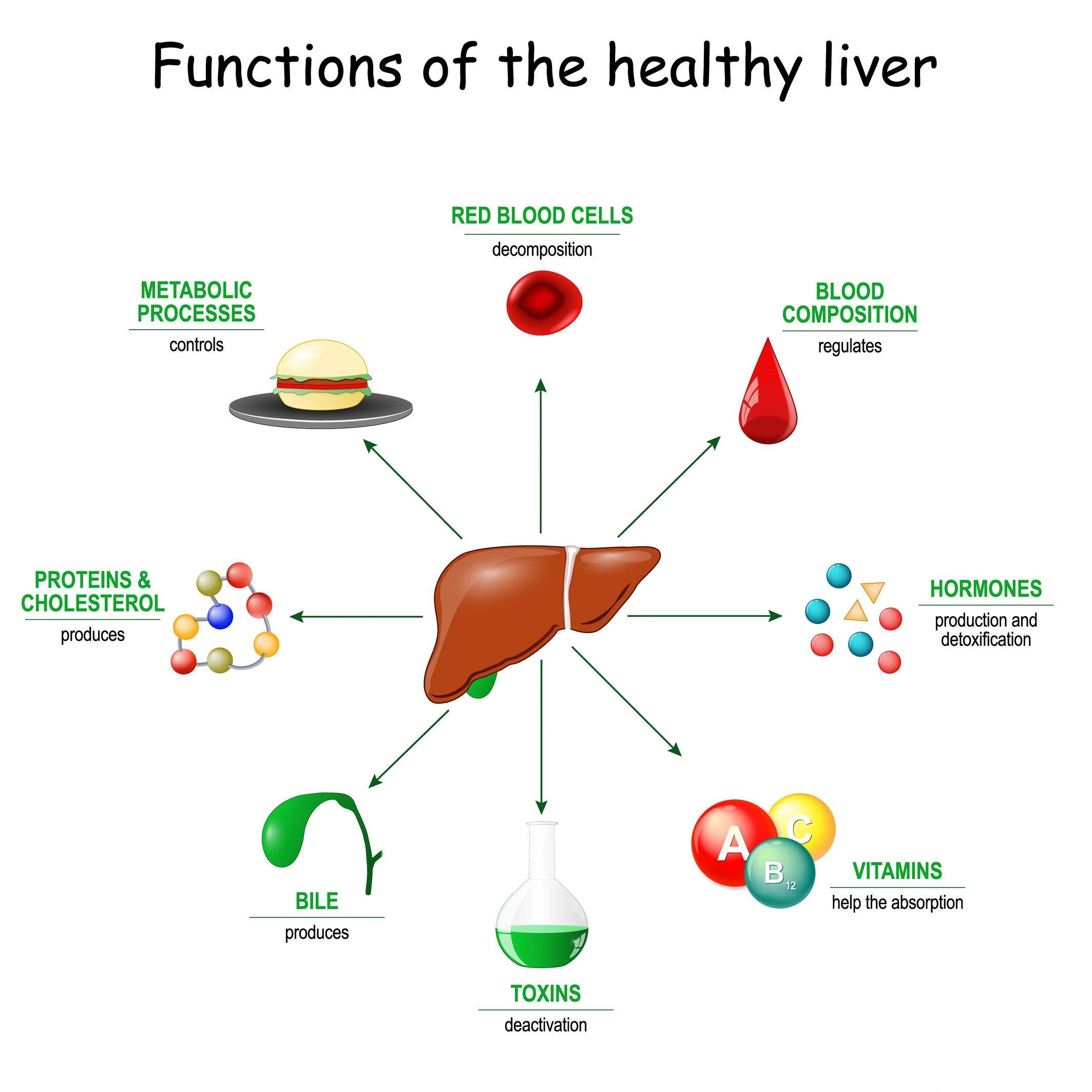 What Does The Liver Do sine-function